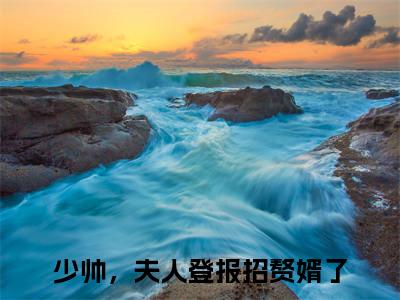阮穗安霍櫂全网首发最新小说，主角少帅，夫人登报招赘婿了全文在线免费阅读