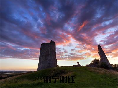 谢宁谢钰（谢宁谢钰）小说-谢宁谢钰最新章节免费阅读