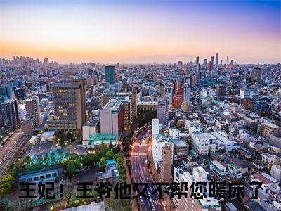 小说（王妃！王爷他又不帮您暖床了）梦泽周献云全文免费阅读无弹窗-梦泽周献云小说全文在线赏析（今日更新最新章节）