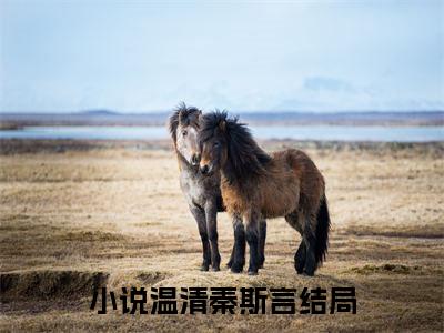 温清秦斯言（温清秦斯言）全文免费阅读无弹窗大结局_温清秦斯言完本小说最新章节阅读