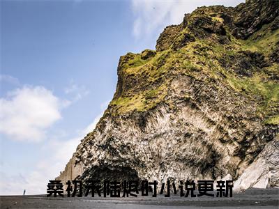 桑初禾陆烬时（我苦追邻家哥哥七年无果小说）全文免费阅读无弹窗大结局_（我苦追邻家哥哥七年无果）小说最新章节列表