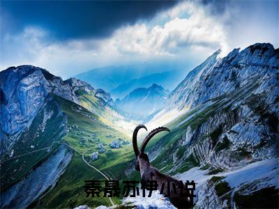 秦晟苏伊（秦晟苏伊）全文免费阅读大结局-（秦晟苏伊）最新章节阅读