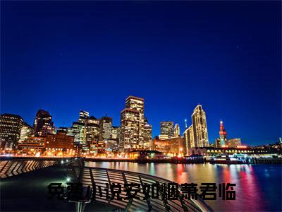 后续+全集安如烟萧君临（完整版）热文小说阅读-安如烟萧君临全文抖音热推