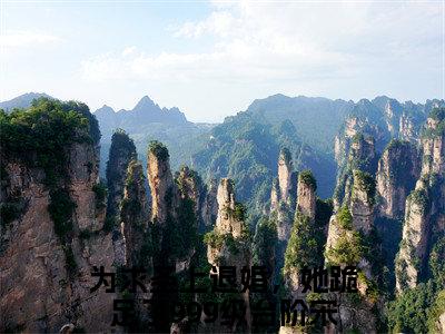 宋南栀萧景渊小说（为求圣上退婚，她跪足了999级台阶）全文免费阅读无弹窗大结局_宋南栀萧景渊小说最新章节列表_笔趣阁