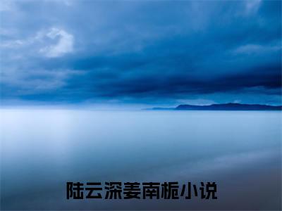 陆云深姜南栀(陆云深姜南栀)全文免费阅读无弹窗大结局_陆云深姜南栀无弹窗最新章节列表_笔趣阁