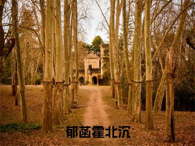 郁菡霍北沉阅读无弹窗大结局_（郁菡霍北沉阅读无弹窗）最新章节列表_笔趣阁（郁菡霍北沉）