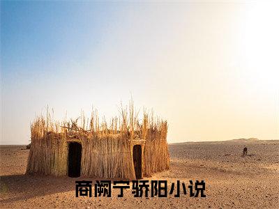 商阙宁骄阳小说全文无删减版在线阅读_（商阙宁骄阳）小说全文免费阅读_商阙宁骄阳最新章节列表_笔趣阁