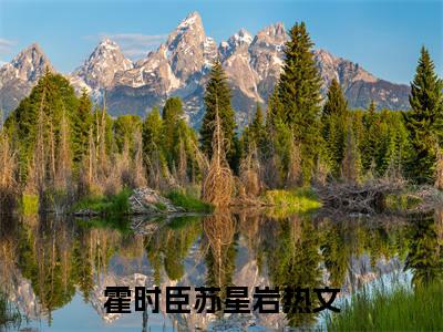 霍时臣苏星岩小说最新章节-霍时臣苏星岩在线全文免费阅读