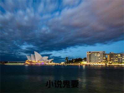 苏晴白初一（鬼妻）全文免费在线阅读_苏晴白初一全文阅读_笔趣阁（鬼妻）