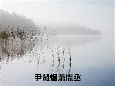 尹凝烟萧胤丞小说全文在线赏析 尹凝烟萧胤丞小说免费阅读全文大结局