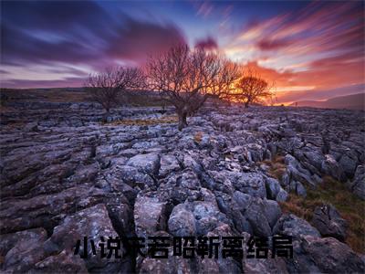 宋若昭靳离（宋若昭靳离）精彩热门小说-宋若昭靳离全章节免费阅读