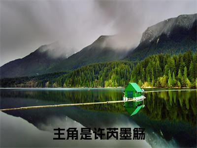 许芮墨觞(许芮墨觞）全文免费阅读无弹窗大结局_ 许芮墨觞最新章节完整版阅读