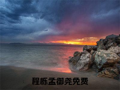 程栎孟御尧的书名全文免费最后一章在线阅读 程栎孟御尧全文小说完整版