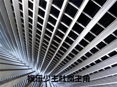 娱乐少主杜岚今日阅读更新-（娱乐少主杜岚）全文免费阅读-娱乐少主杜岚