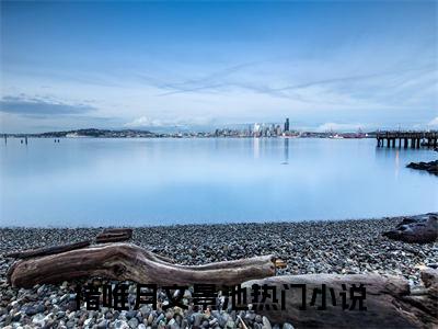 (抖音小说)褚唯月文景池免费阅读褚唯月文景池在线阅读大结局