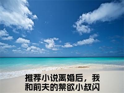 离婚后，我和前夫的禁欲小叔闪婚了热门小说在哪免费看-小说路吟风莫南泽（离婚后，我和前夫的禁欲小叔闪婚了）完整版全文在线赏析