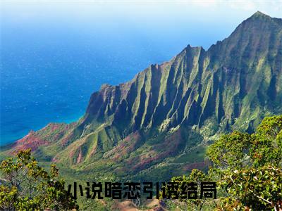 暗恋引诱全文小说（沈悠宜黎晏辞）全文阅读-暗恋引诱在线小说免费阅读