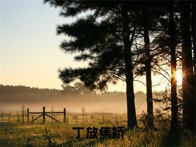丁放焦娇（丁放焦娇）美文赏析完整版-丁放焦娇好看的小说阅读