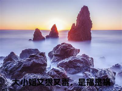 李玄风任道成（大小姐又狠又毒，是福是祸）热门小说盘点在线阅读-全网推荐小说大小姐又狠又毒，是福是祸全文
