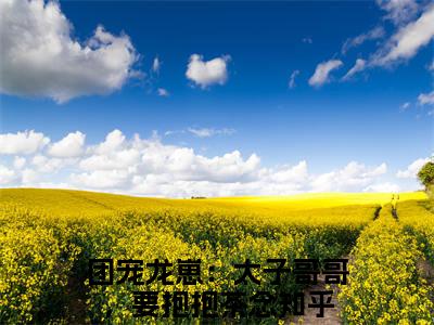 团宠龙崽：太子哥哥，要抱抱茶念(团宠龙崽：太子哥哥，要抱抱茶念)抖音热推小说全集无删减，团宠龙崽：太子哥哥，要抱抱茶念小说在线免费阅读大结局