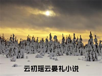 万人嫌重生，全皇城跪求我原谅免费阅读无弹窗大结局，云初瑶云晏礼最新章节