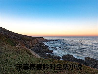 二两雾色为宋慕辰姜吟时的小说叫什么-最新小说宋慕辰姜吟时全文阅读