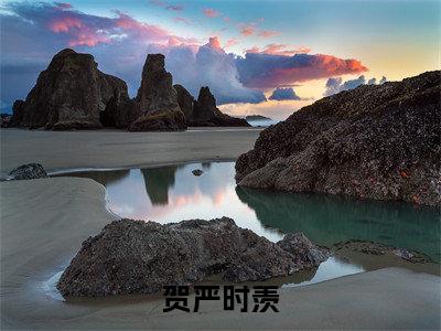 全网热搜（贺严时羡）是什么小说_主角是（贺严时羡）的小说（贺严时羡）最新章节无弹窗阅读
