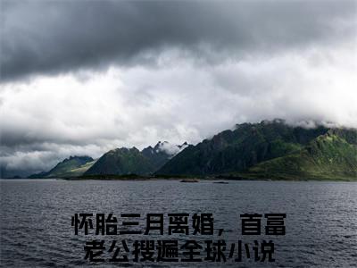 傅寒夜沈念（怀胎三月离婚，首富老公搜遍全球全章节完整版）免费阅读_（怀胎三月离婚，首富老公搜遍全球）傅寒夜沈念全文无删减免费阅读
