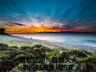 灵泉空间：首辅大人农门妇苏落儿新出一本好看的小说-灵泉空间：首辅大人农门妇苏落儿小说免费阅读完整版_笔趣阁（灵泉空间：首辅大人农门妇苏落儿）