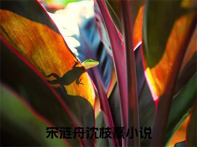 宋涟舟沈枝熹小说热门全集在线观看 宋涟舟沈枝熹免费章节试读