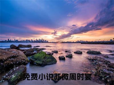 苏微周时宴小说免费阅读苏微周时宴小说全文免费阅读_（苏微周时宴）苏微周时宴最新章节列表笔趣阁