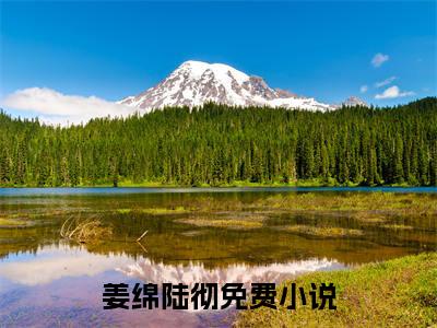 姜绵陆彻（姜绵陆彻）全文免费阅读无弹窗大结局_姜绵陆彻在线阅读（姜绵陆彻）