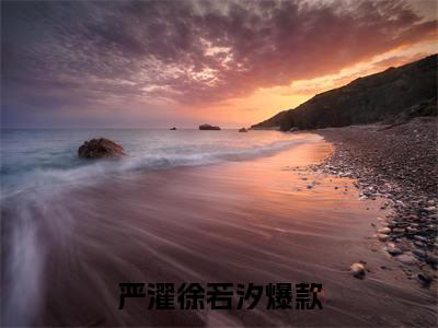 严濯徐若汐全文免费阅读-主角为严濯徐若汐的小说