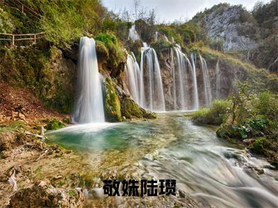 敬姝陆瓒大结局免费阅读 敬姝陆瓒全文小说