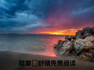 陆宴晞舒晴无广告小说免费阅读，陆宴晞舒晴完结小说在线阅读