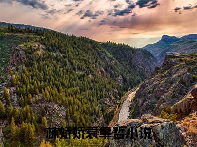 林娇娇袁聿哲（林娇娇袁聿哲）最新章节阅读-（林娇娇袁聿哲）免费阅读大结局无弹窗