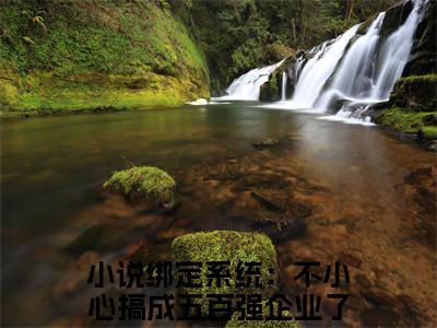 苏文方馨怡（绑定系统：不小心搞成五百强企业了全文免费大结局）在线阅读-绑定系统：不小心搞成五百强企业了全文无删减免费赏析