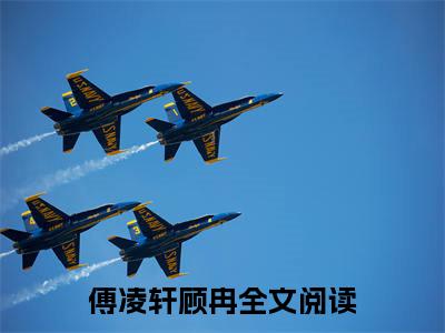 傅凌轩顾冉（九年后，疯批大佬跪着追妻）小说好看吗-傅凌轩顾冉最后结局如何（九年后，疯批大佬跪着追妻）小说无弹窗免费阅读
