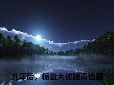 《傅凌轩顾冉完整小说》九年后，疯批大佬跪着追妻完结版全章节阅读
