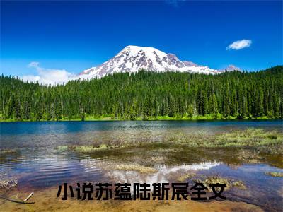 暗恋成真：掌权新贵他官宣了（苏蕴陆斯宸）全网首发小说-小说苏蕴陆斯宸（暗恋成真：掌权新贵他官宣了）完整版全文在线赏析