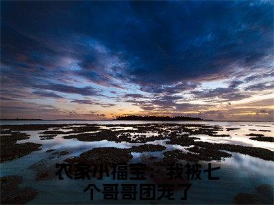农家小福宝：我被七个哥哥团宠了（糖宝）全文免费阅读无弹窗大结局_农家小福宝：我被七个哥哥团宠了完整章节阅读