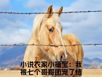 糖宝新书热荐免费小说农家小福宝：我被七个哥哥团宠了-小说农家小福宝：我被七个哥哥团宠了大结局