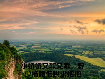 陶野苏缈（小娇娇又软又乖，野少掐腰低哄求抱抱小说全文）在线阅读无弹窗大结局-陶野苏缈全文无删减版阅读