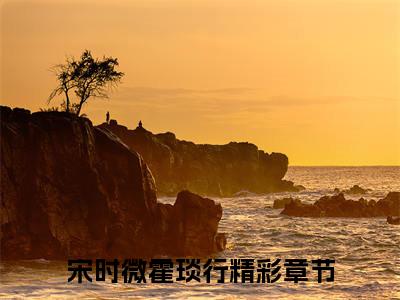 小说完整版宋时微霍琰行大结局-宋时微霍琰行是什么书《宋时微霍琰行》