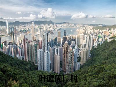 叶醒周璟时笔趣阁免费小说-主角为叶醒周璟时的小说全文在线赏析