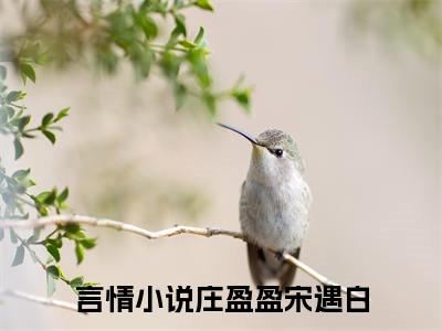 庄盈盈宋遇白小说最新章节试读_庄盈盈宋遇白是(庄盈盈宋遇白)小说主角热门推荐_笔趣阁