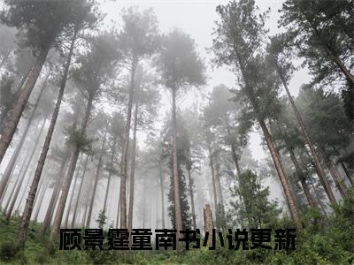 顾景霆童南书小说（顾景霆童南书）全文免费阅读无弹窗大结局_（顾景霆童南书免费阅读）顾景霆童南书最新章节列表_笔趣阁（顾景霆童南书）