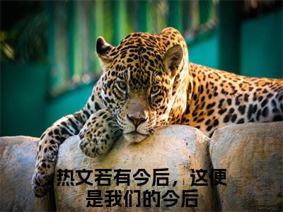 莫清语南奕全文免费阅读无弹窗大结局_（若有今后，这便是我们的今后在线阅读）莫清语南奕最新章节完整版阅读