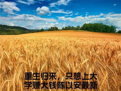重生归来，只想上大学赚大钱陈以安（重生归来，只想上大学赚大钱陈以安）免费小说-重生归来，只想上大学赚大钱陈以安（重生归来，只想上大学赚大钱陈以安）完结版在线阅读