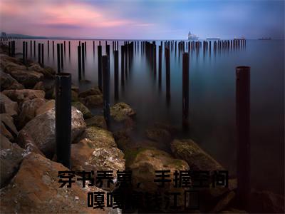 穿书养崽，手握空间嘎嘎搞钱江婳首发小说-穿书养崽，手握空间嘎嘎搞钱江婳(穿书养崽，手握空间嘎嘎搞钱江婳)无删减版全文在线